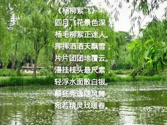 飞飞飞飞柳絮飞飞飞;柳絮飞柳絮飞