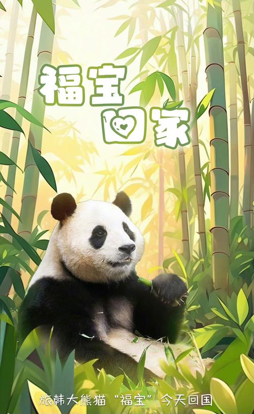第2072页