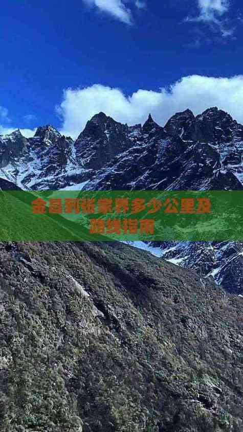 admin 第473页