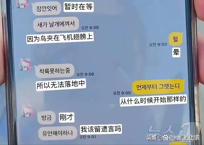 2025港澳免费资料大全和韩国坠机致4人遇难与韩国坠机事件