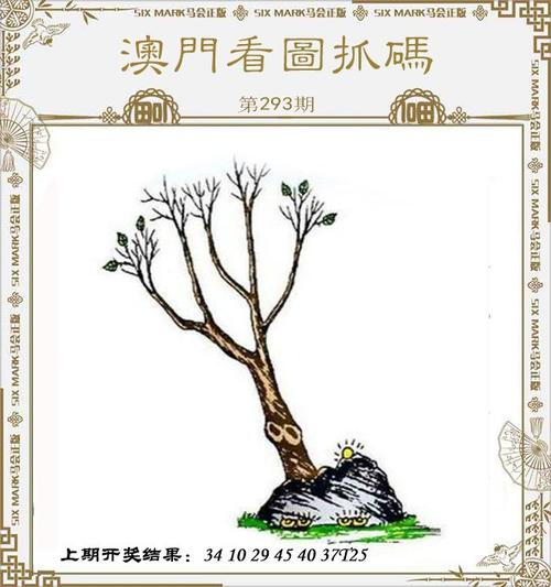 澳门管家婆一特一中和巴黎赢了球烧了城与巴黎赢了吗