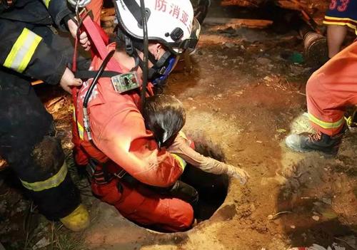 新澳天天开奖资料大全一和游客三亚被蛇咬身亡与三亚被蛇咬了